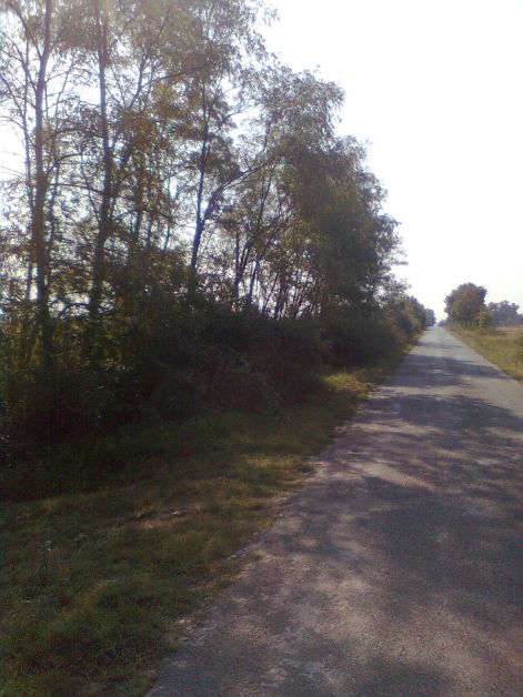 kep2329.jpg kep2329.jpg